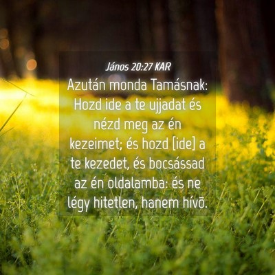 Picture 04 - János 20:27 KAR - Azután monda Tamásnak: Hozd ide a te ujjadat - Bible Verse Picture