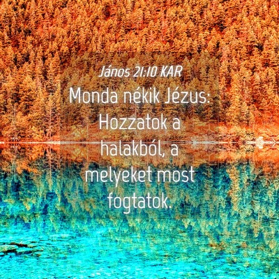 Picture 04 - János 21:10 KAR - Monda nékik Jézus: Hozzatok a halakból, a - Bible Verse Picture