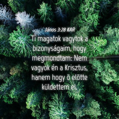 Picture 04 - János 3:28 KAR - Ti magatok vagytok a bizonyságaim, hogy - Bible Verse Picture