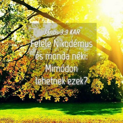 Picture 04 - János 3:9 KAR - Felele Nikodémus és monda néki: Mimódon - Bible Verse Picture