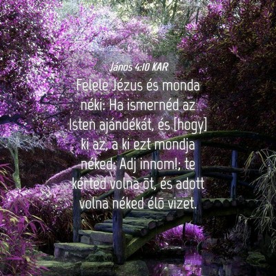 Picture 04 - János 4:10 KAR - Felele Jézus és monda néki: Ha ismernéd az - Bible Verse Picture