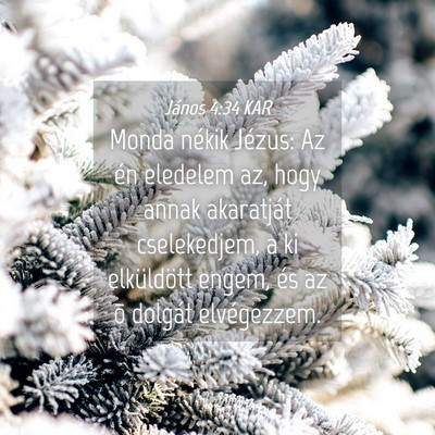 Picture 04 - János 4:34 KAR - Monda nékik Jézus: Az én eledelem az, hogy - Bible Verse Picture