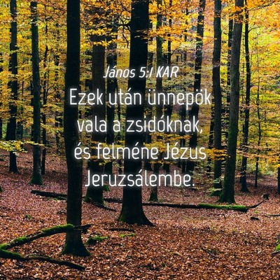 Picture 04 - János 5:1 KAR - Ezek után ünnepök vala a zsidóknak, és - Bible Verse Picture
