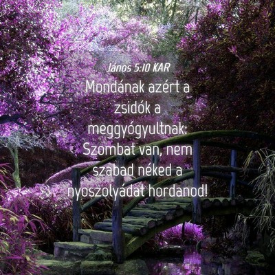 Picture 04 - János 5:10 KAR - Mondának azért a zsidók a meggyógyultnak: - Bible Verse Picture