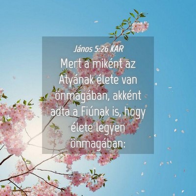 Picture 04 - János 5:26 KAR - Mert a miként az Atyának élete van - Bible Verse Picture