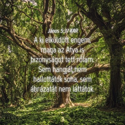 Picture 04 - János 5:37 KAR - A ki elküldött engem, maga az Atya is - Bible Verse Picture