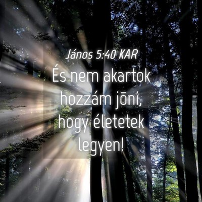 Picture 04 - János 5:40 KAR - És nem akartok hozzám jõni, hogy életetek - Bible Verse Picture