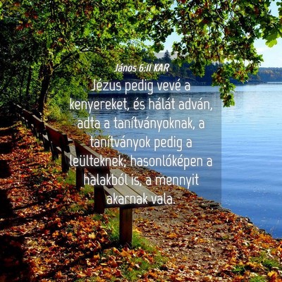 Picture 04 - János 6:11 KAR - Jézus pedig vevé a kenyereket, és hálát - Bible Verse Picture