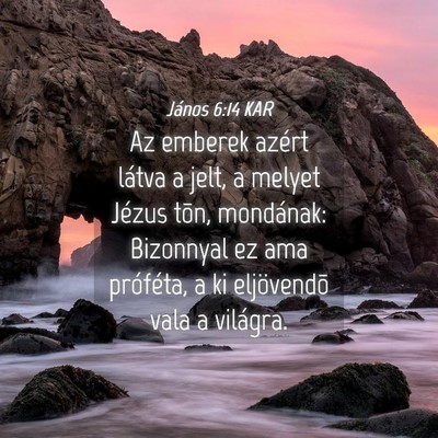 Picture 04 - János 6:14 KAR - Az emberek azért látva a jelt, a melyet Jézus - Bible Verse Picture