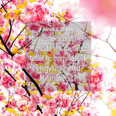 Picture 04 - János 6:30 KAR - Mondának azért néki: Micsoda jelt mutatsz - Bible Verse Picture