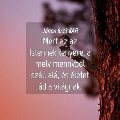 Picture 04 - János 6:33 KAR - Mert az az Istennek kenyere, a mely mennybõl - Bible Verse Picture