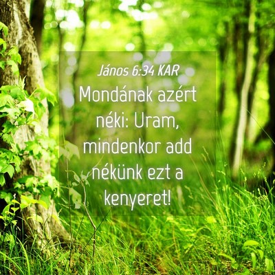 Picture 04 - János 6:34 KAR - Mondának azért néki: Uram, mindenkor add - Bible Verse Picture