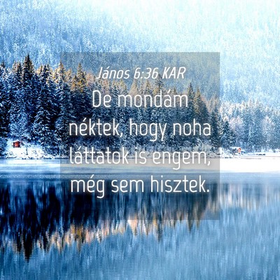Picture 04 - János 6:36 KAR - De mondám néktek, hogy noha láttatok is engem, - Bible Verse Picture