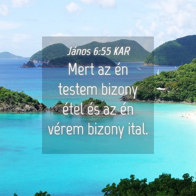 Picture 04 - János 6:55 KAR - Mert az én testem bizony étel és az én vérem - Bible Verse Picture
