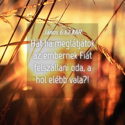 Picture 04 - János 6:62 KAR - Hát ha meglátjátok az embernek Fiát - Bible Verse Picture