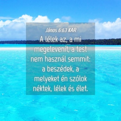 Picture 04 - János 6:63 KAR - A lélek az, a mi megelevenít, a test nem - Bible Verse Picture