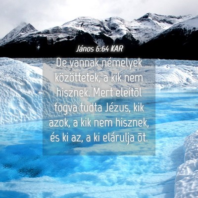 Picture 04 - János 6:64 KAR - De vannak némelyek közöttetek, a kik nem - Bible Verse Picture