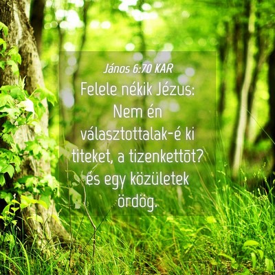 Picture 04 - János 6:70 KAR - Felele nékik Jézus: Nem én választottalak-é - Bible Verse Picture