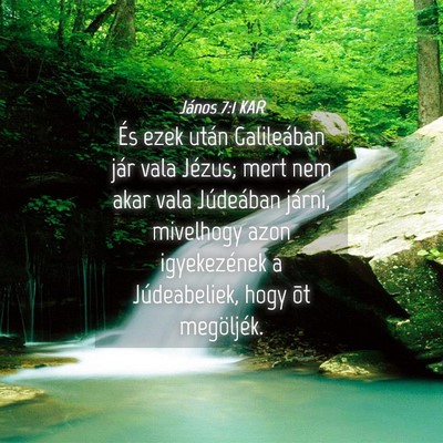 Picture 04 - János 7:1 KAR - És ezek után Galileában jár vala Jézus; mert - Bible Verse Picture