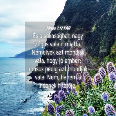 Picture 04 - János 7:12 KAR - És a sokaságban nagy zúgás vala õ miatta. - Bible Verse Picture