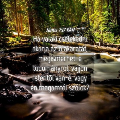 Picture 04 - János 7:17 KAR - Ha valaki cselekedni akarja az õ akaratát, - Bible Verse Picture