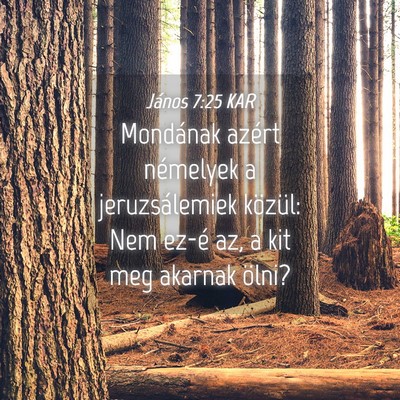 Picture 04 - János 7:25 KAR - Mondának azért némelyek a jeruzsálemiek - Bible Verse Picture