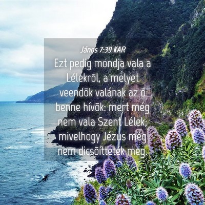 Picture 04 - János 7:39 KAR - Ezt pedig mondja vala a Lélekrõl, a melyet - Bible Verse Picture