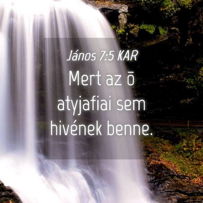 Picture 04 - János 7:5 KAR - Mert az õ atyjafiai sem hivének - Bible Verse Picture