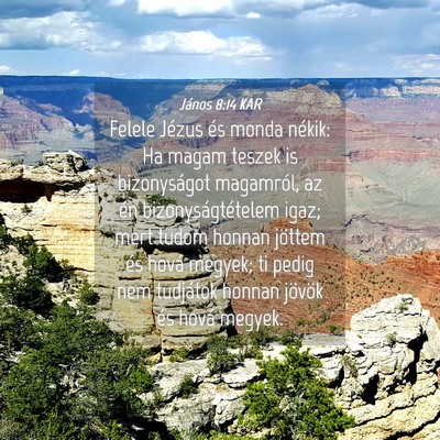 Picture 04 - János 8:14 KAR - Felele Jézus és monda nékik: Ha magam teszek - Bible Verse Picture