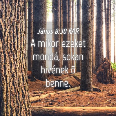 Picture 04 - János 8:30 KAR - A mikor ezeket mondá, sokan hivének õ - Bible Verse Picture