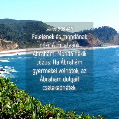 Picture 04 - János 8:39 KAR - Felelének és mondának néki: A mi atyánk - Bible Verse Picture