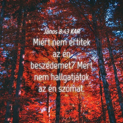 Picture 04 - János 8:43 KAR - Miért nem értitek az én beszédemet? Mert nem - Bible Verse Picture