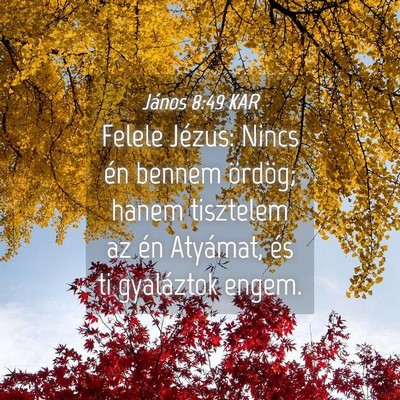 Picture 04 - János 8:49 KAR - Felele Jézus: Nincs én bennem ördög; hanem - Bible Verse Picture