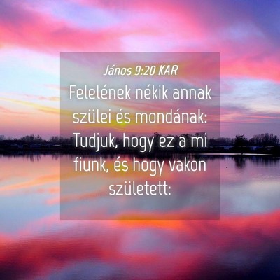 Picture 04 - János 9:20 KAR - Felelének nékik annak szülei és mondának: - Bible Verse Picture