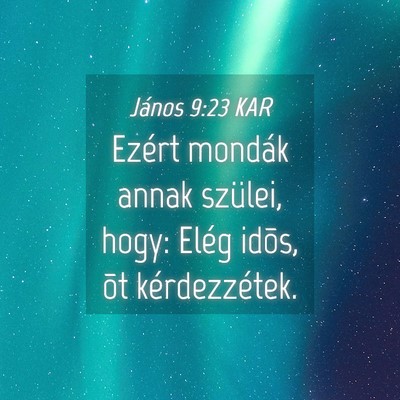 Picture 04 - János 9:23 KAR - Ezért mondák annak szülei, hogy: Elég idõs, - Bible Verse Picture