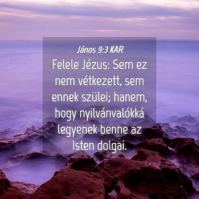 Picture 04 - János 9:3 KAR - Felele Jézus: Sem ez nem vétkezett, sem ennek - Bible Verse Picture
