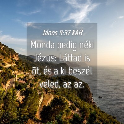 Picture 04 - János 9:37 KAR - Monda pedig néki Jézus: Láttad is õt, és a - Bible Verse Picture