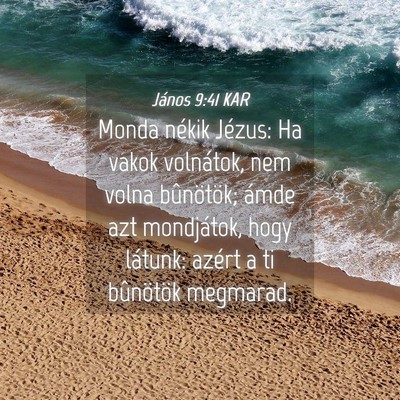Picture 04 - János 9:41 KAR - Monda nékik Jézus: Ha vakok volnátok, nem - Bible Verse Picture