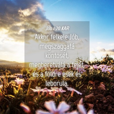 Picture 04 - Jób 1:20 KAR - Akkor felkele Jób, megszaggatá köntösét, - Bible Verse Picture