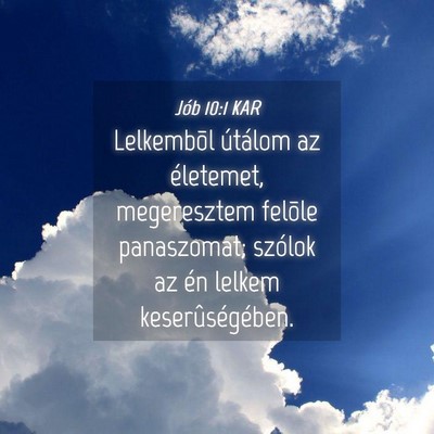 Picture 04 - Jób 10:1 KAR - Lelkembõl útálom az életemet, megeresztem - Bible Verse Picture