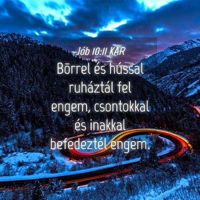 Picture 04 - Jób 10:11 KAR - Bõrrel és hússal ruháztál fel engem, - Bible Verse Picture