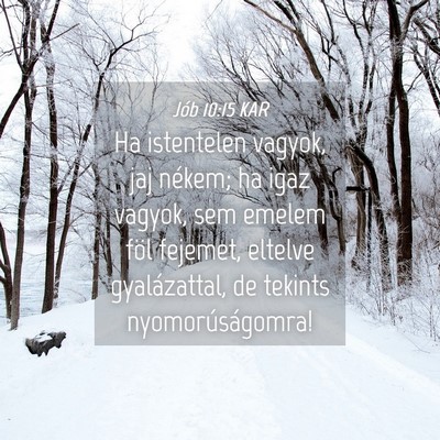 Picture 04 - Jób 10:15 KAR - Ha istentelen vagyok, jaj nékem; ha igaz vagyok, - Bible Verse Picture