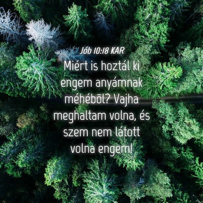 Picture 04 - Jób 10:18 KAR - Miért is hoztál ki engem anyámnak méhébõl? - Bible Verse Picture