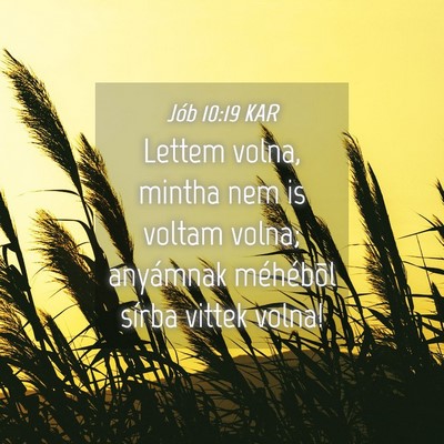 Picture 04 - Jób 10:19 KAR - Lettem volna, mintha nem is voltam volna; - Bible Verse Picture