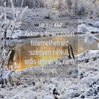 Picture 04 - Jób 11:15 KAR - Akkor a te arczodat fölemelhetnéd szégyen - Bible Verse Picture