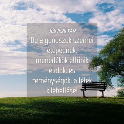 Picture 04 - Jób 11:20 KAR - De a gonoszok szemei elepednek, menedékök - Bible Verse Picture