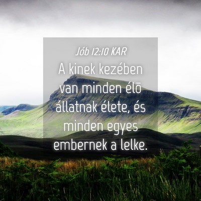 Picture 04 - Jób 12:10 KAR - A kinek kezében van minden élõ állatnak - Bible Verse Picture