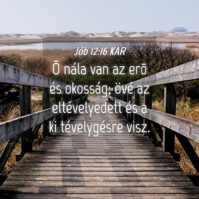 Picture 04 - Jób 12:16 KAR - Õ nála van az erõ és okosság; övé az - Bible Verse Picture