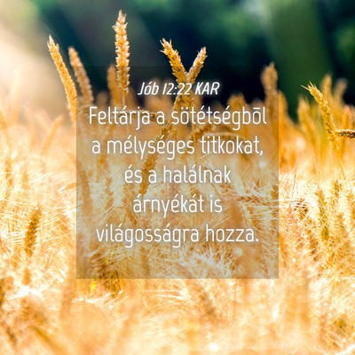 Picture 04 - Jób 12:22 KAR - Feltárja a sötétségbõl a mélységes - Bible Verse Picture