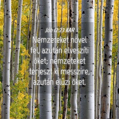 Picture 04 - Jób 12:23 KAR - Nemzeteket növel fel, azután elveszíti õket; - Bible Verse Picture